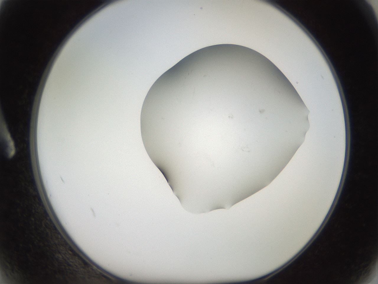 folderID553_plateID2553_batchID12580_wellNum2_profileID1_d1_r194601_ef.jpg