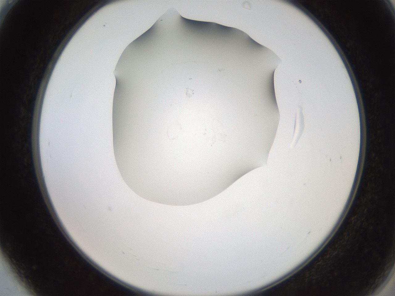 folderID553_plateID2553_batchID12580_wellNum4_profileID1_d2_r194606_ef.jpg