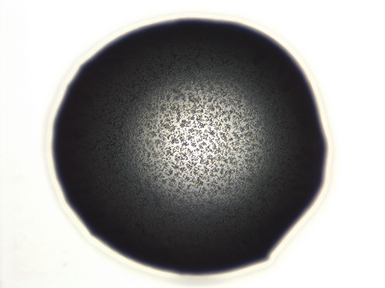 0494_E11_ImagerDefaults_3.jpg
