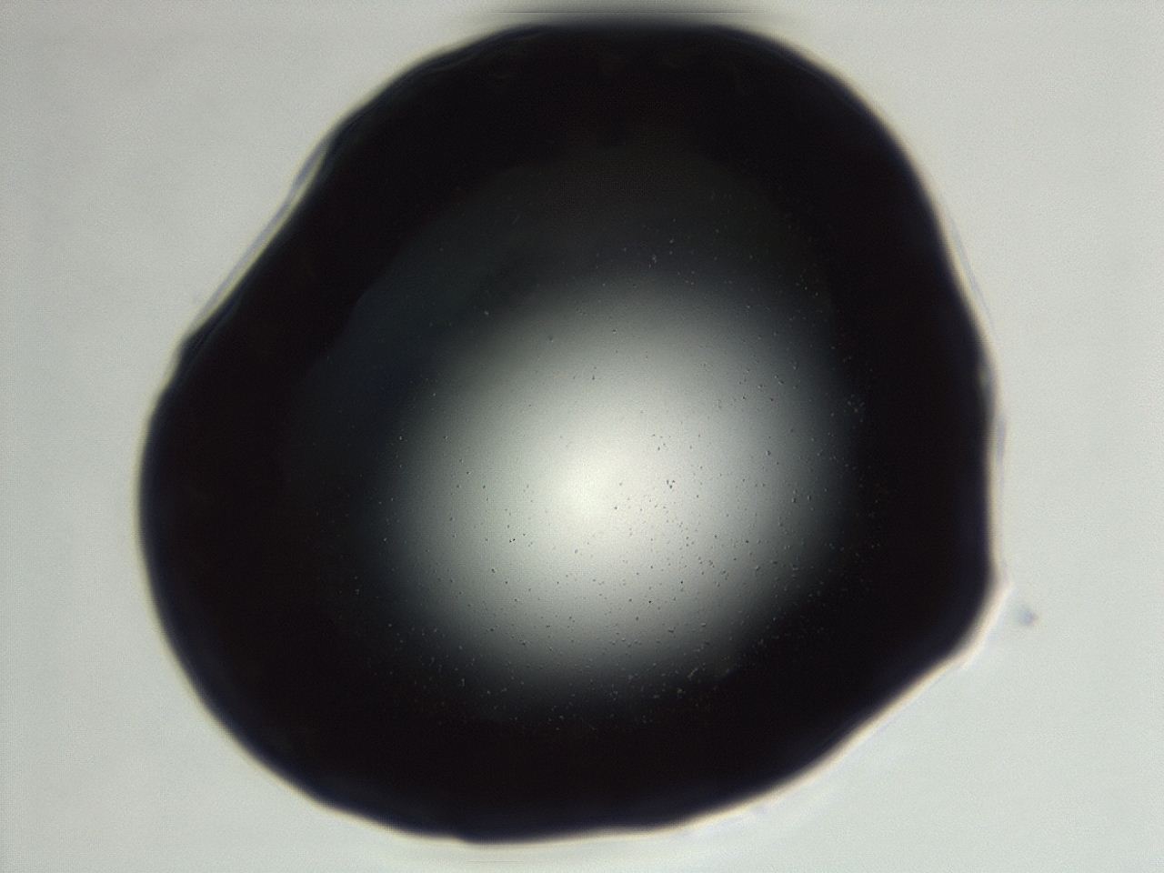 0494_F1_ImagerDefaults_0.jpg