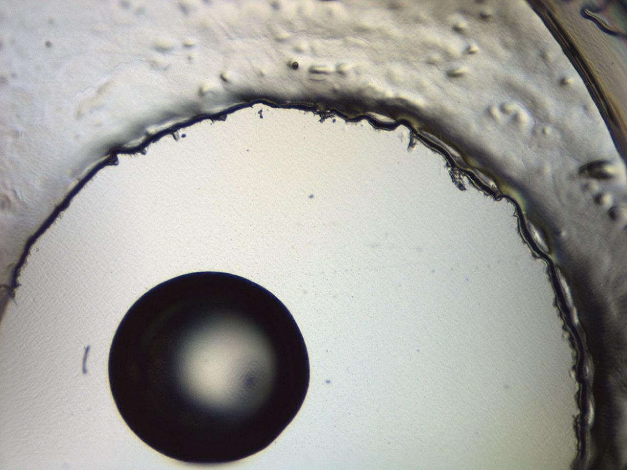 0494_F5_ImagerDefaults_0.jpg