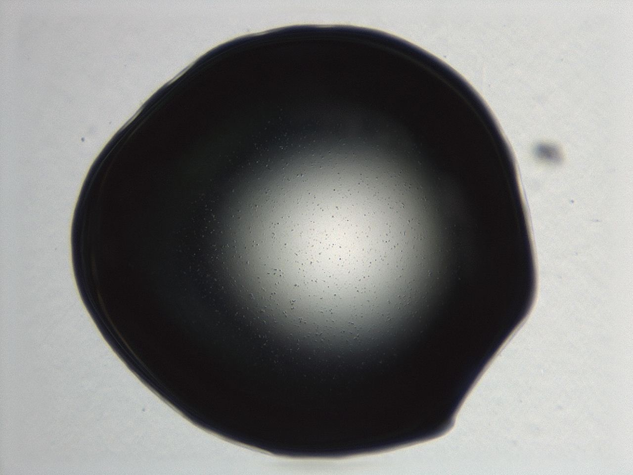 0494_F8_ImagerDefaults_0.jpg