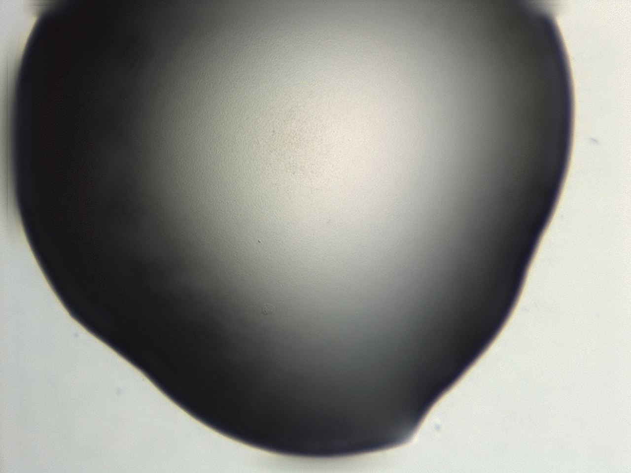 0494_F9_ImagerDefaults_0.jpg