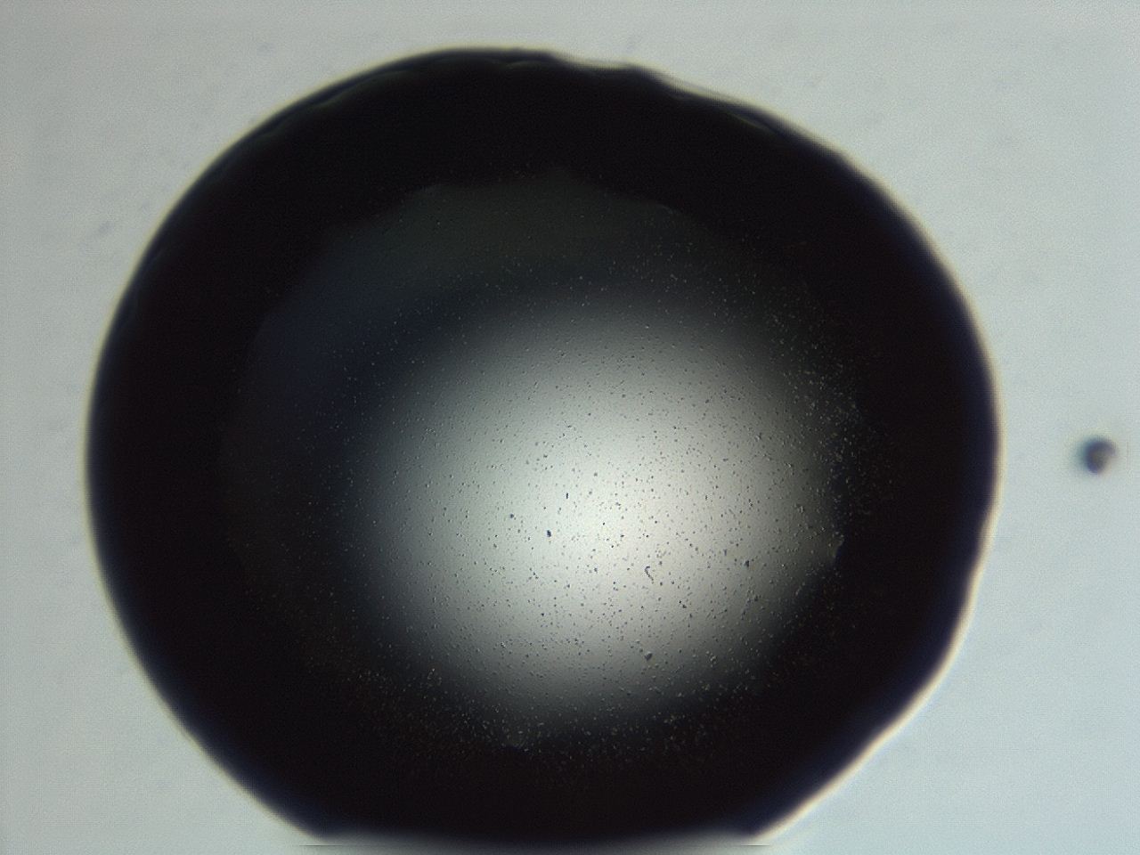 0494_G1_ImagerDefaults_0.jpg