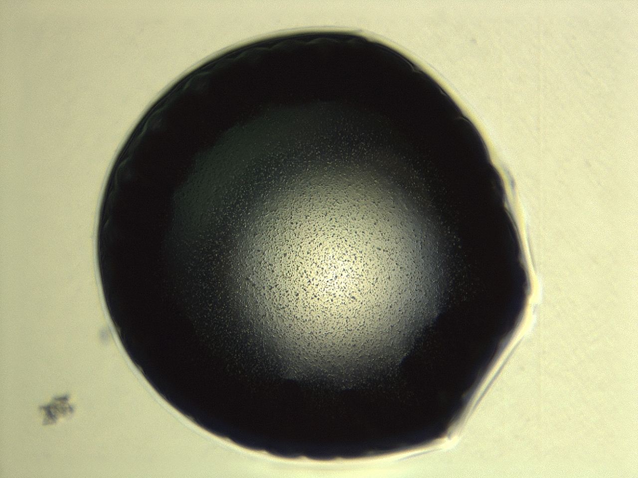 0494_G2_ImagerDefaults_3.jpg