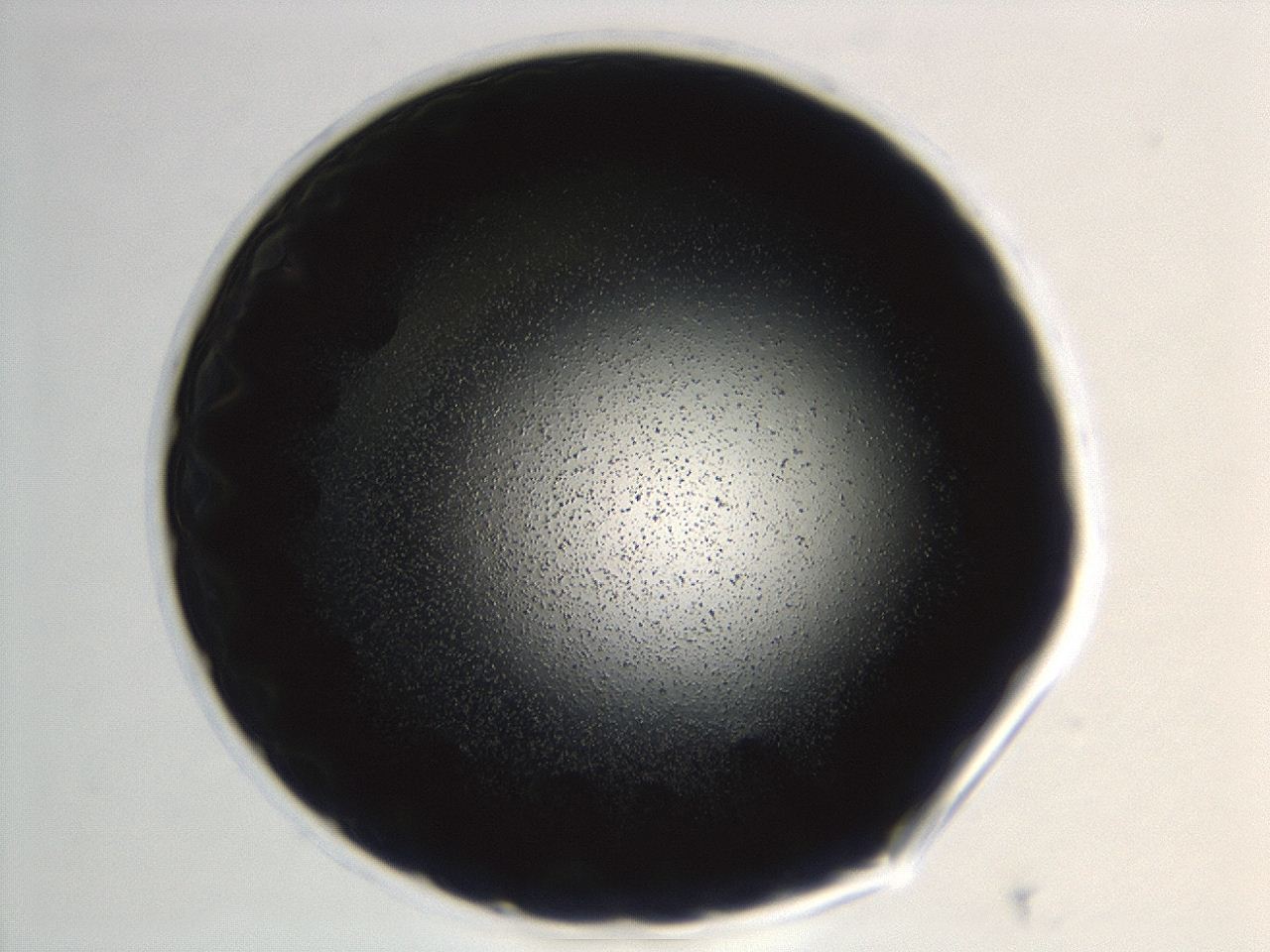 0494_G4_ImagerDefaults_3.jpg