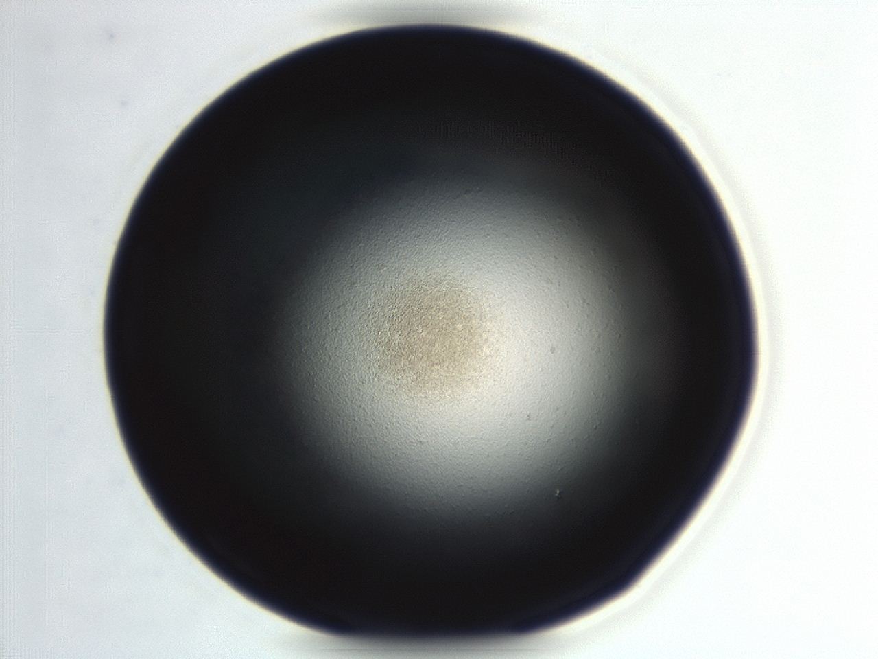 0494_G5_ImagerDefaults_2.jpg