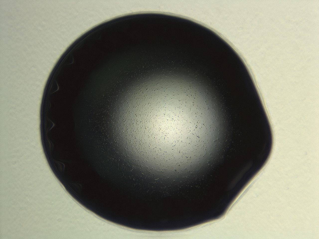 0494_G6_ImagerDefaults_0.jpg