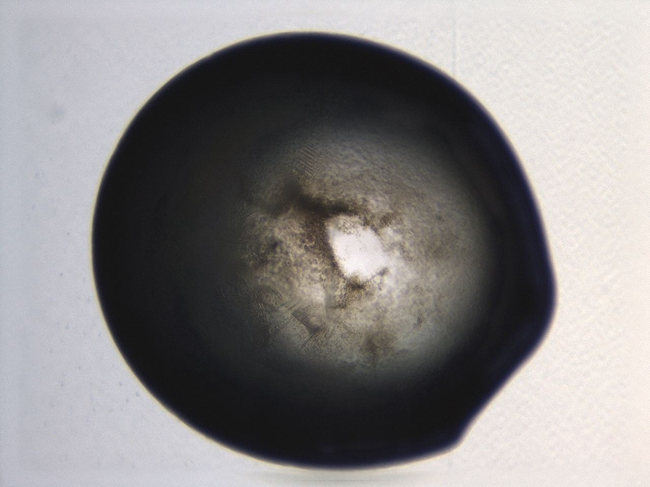 0494_G7_ImagerDefaults_3.jpg