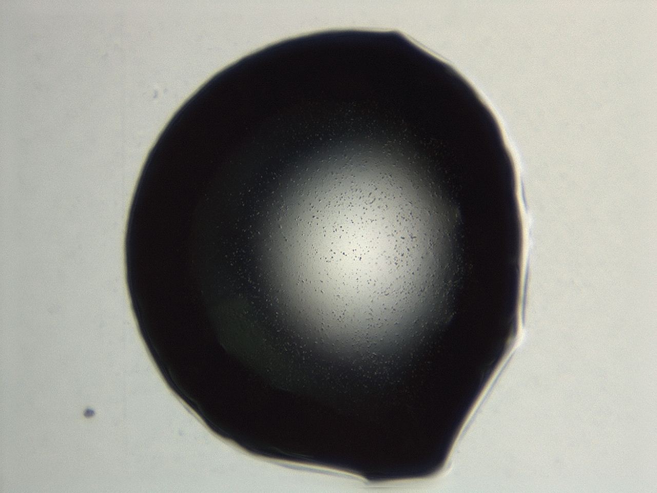 0494_G9_ImagerDefaults_0.jpg