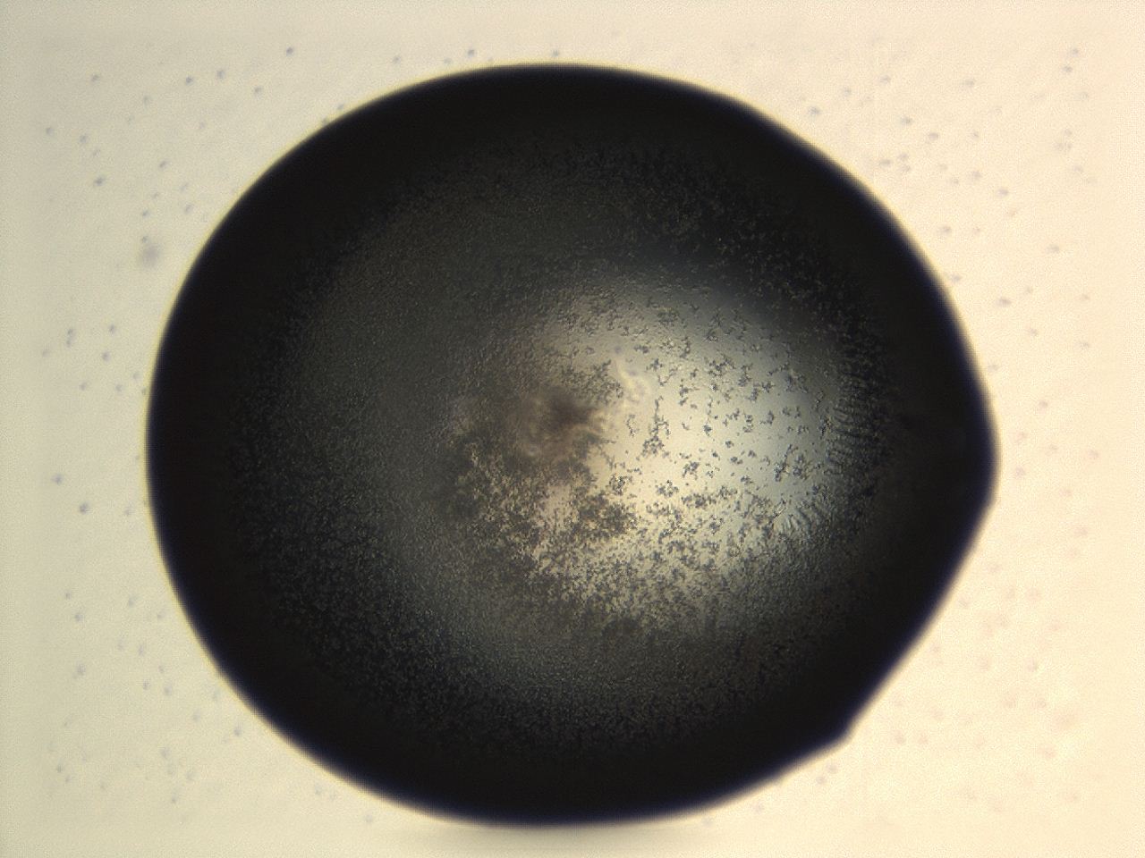 0494_H2_ImagerDefaults_3.jpg