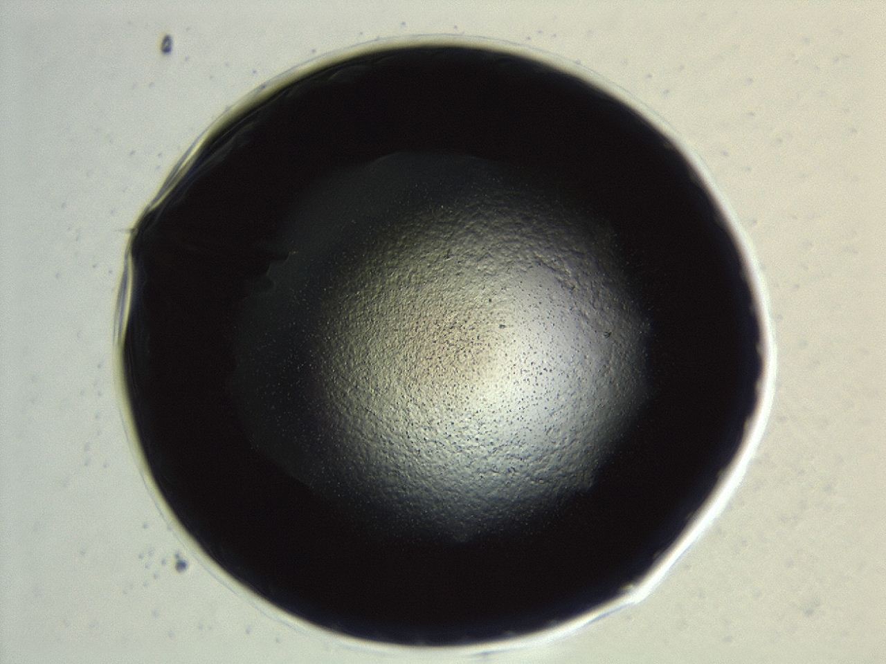 0494_H3_ImagerDefaults_3.jpg