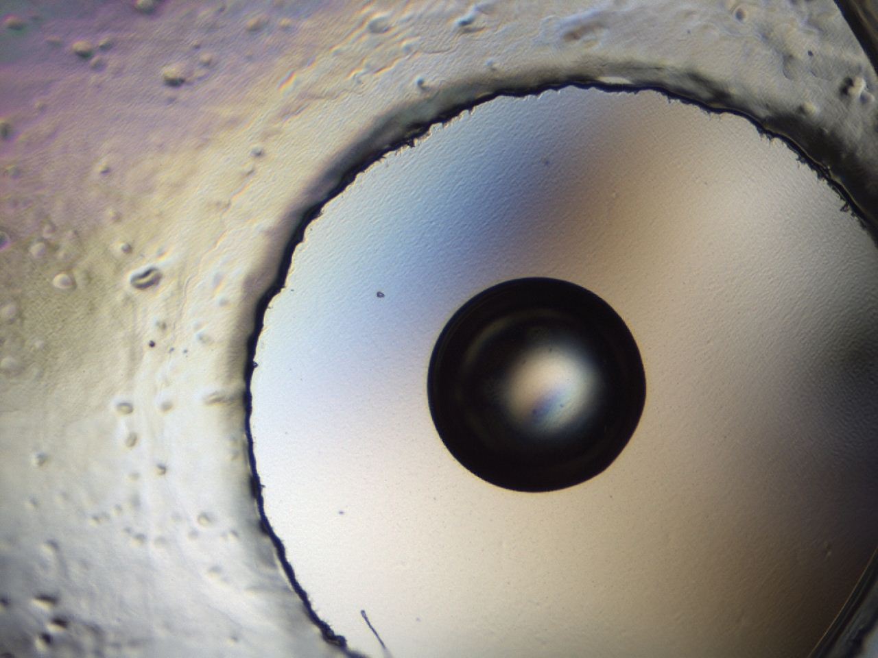 0494_H4_ImagerDefaults_0.jpg