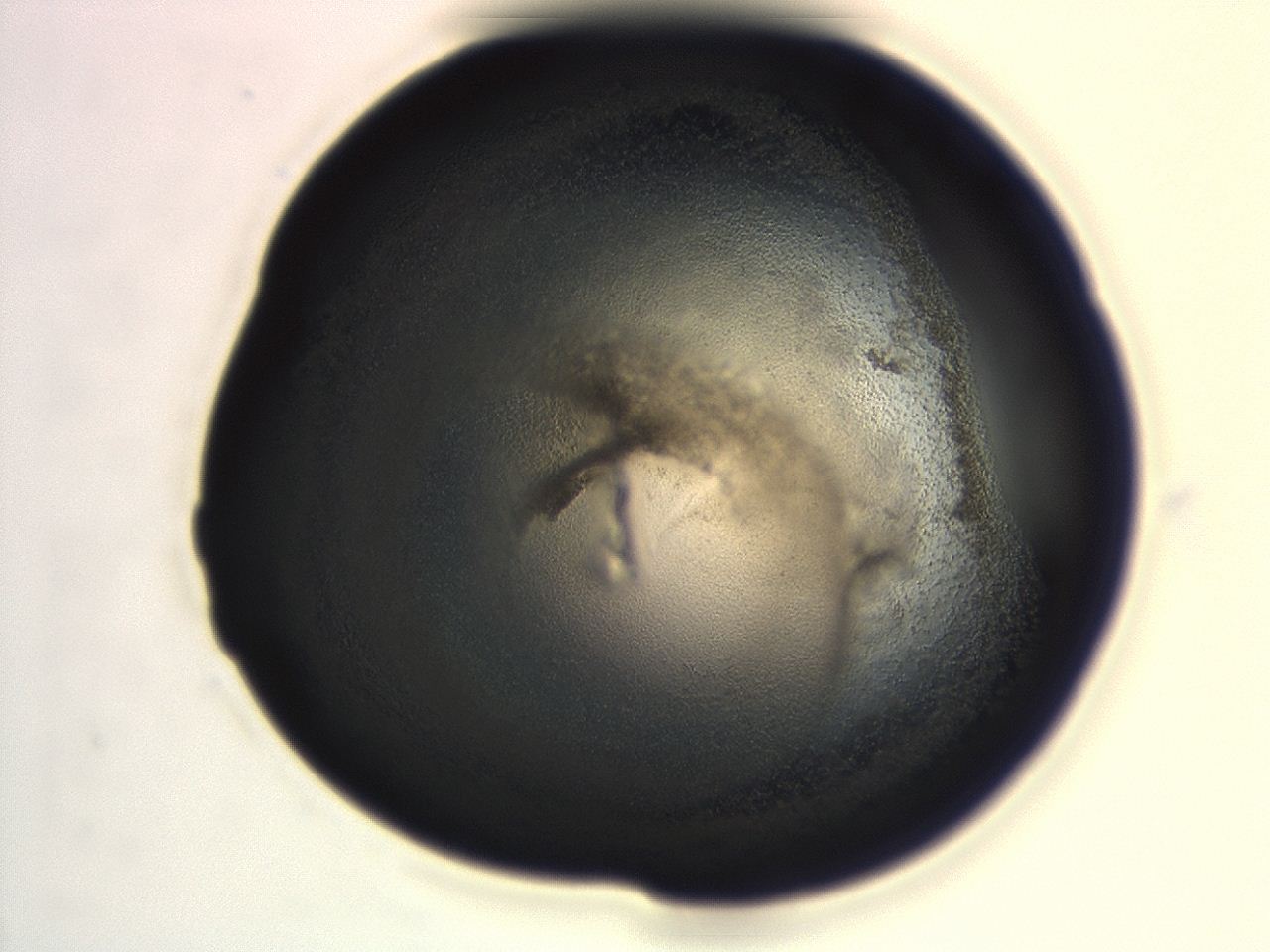 0494_H7_ImagerDefaults_3.jpg