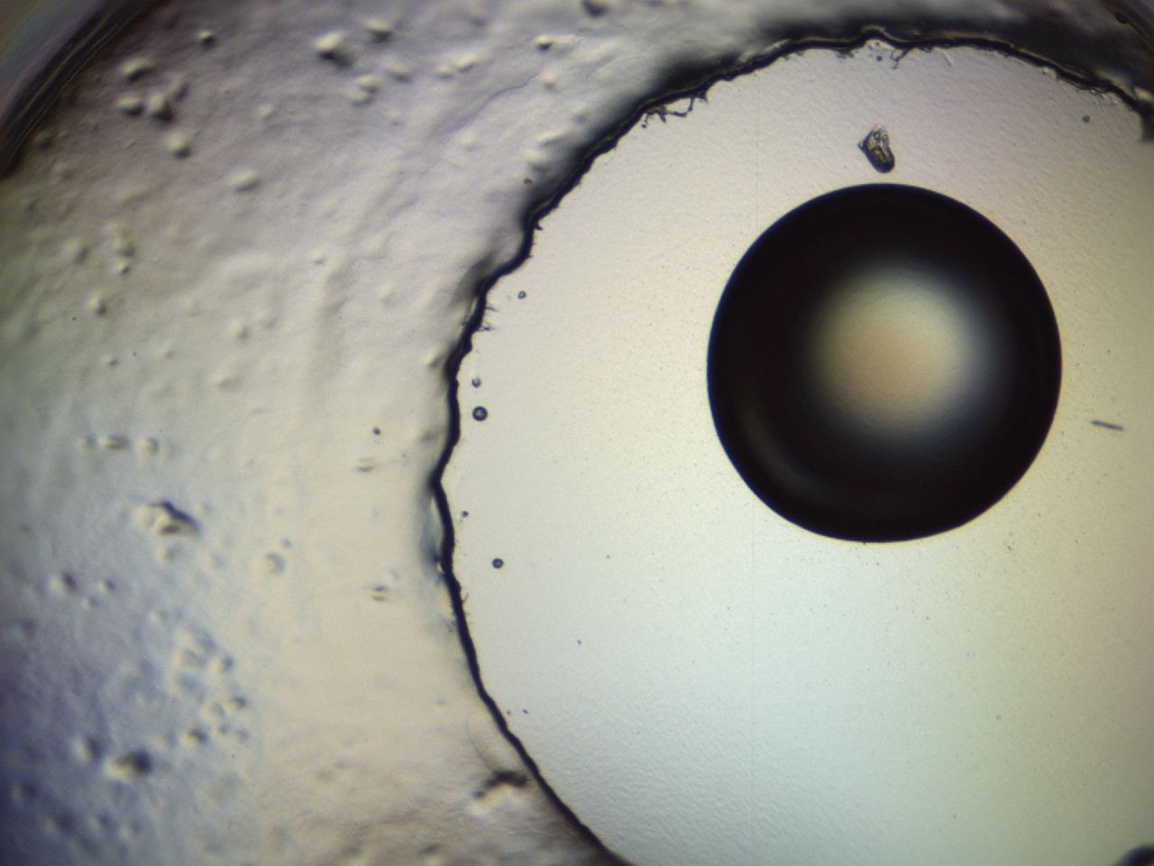 0494_H11_ImagerDefaults_3.jpg
