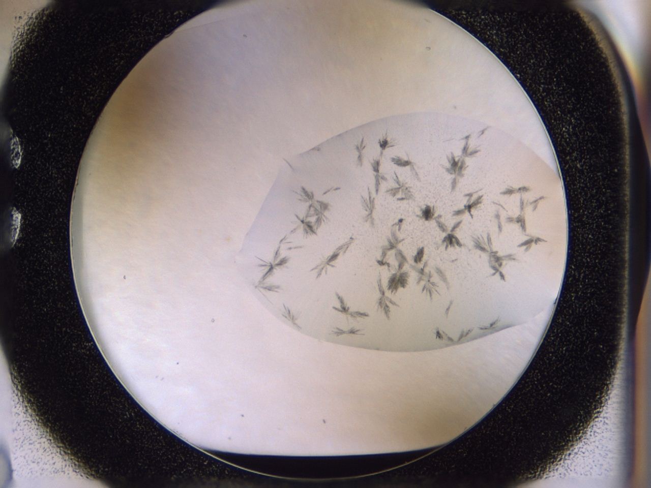 049v_C2_ImagerDefaults_6.jpg
