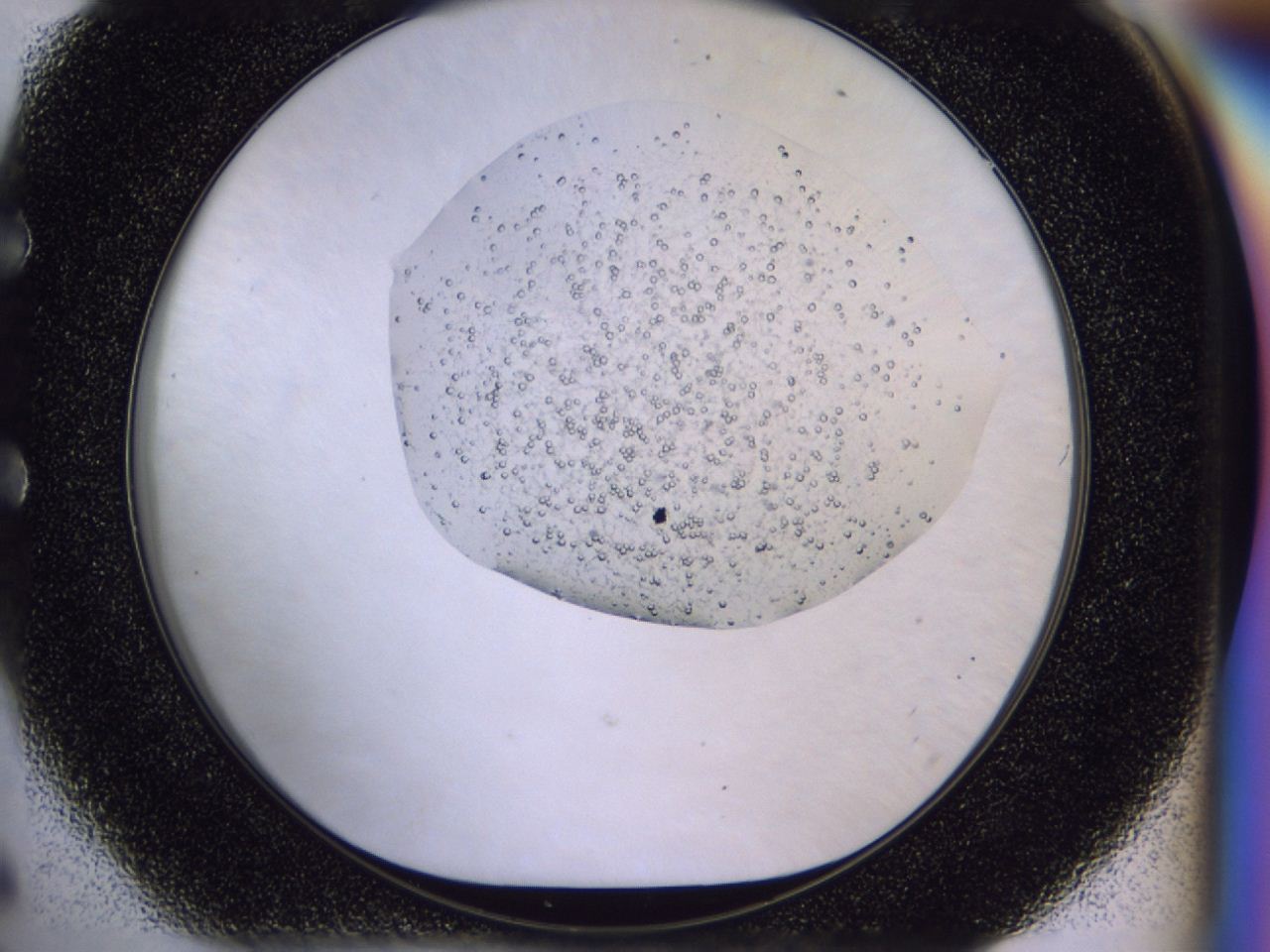 049v_E6_ImagerDefaults_8.jpg