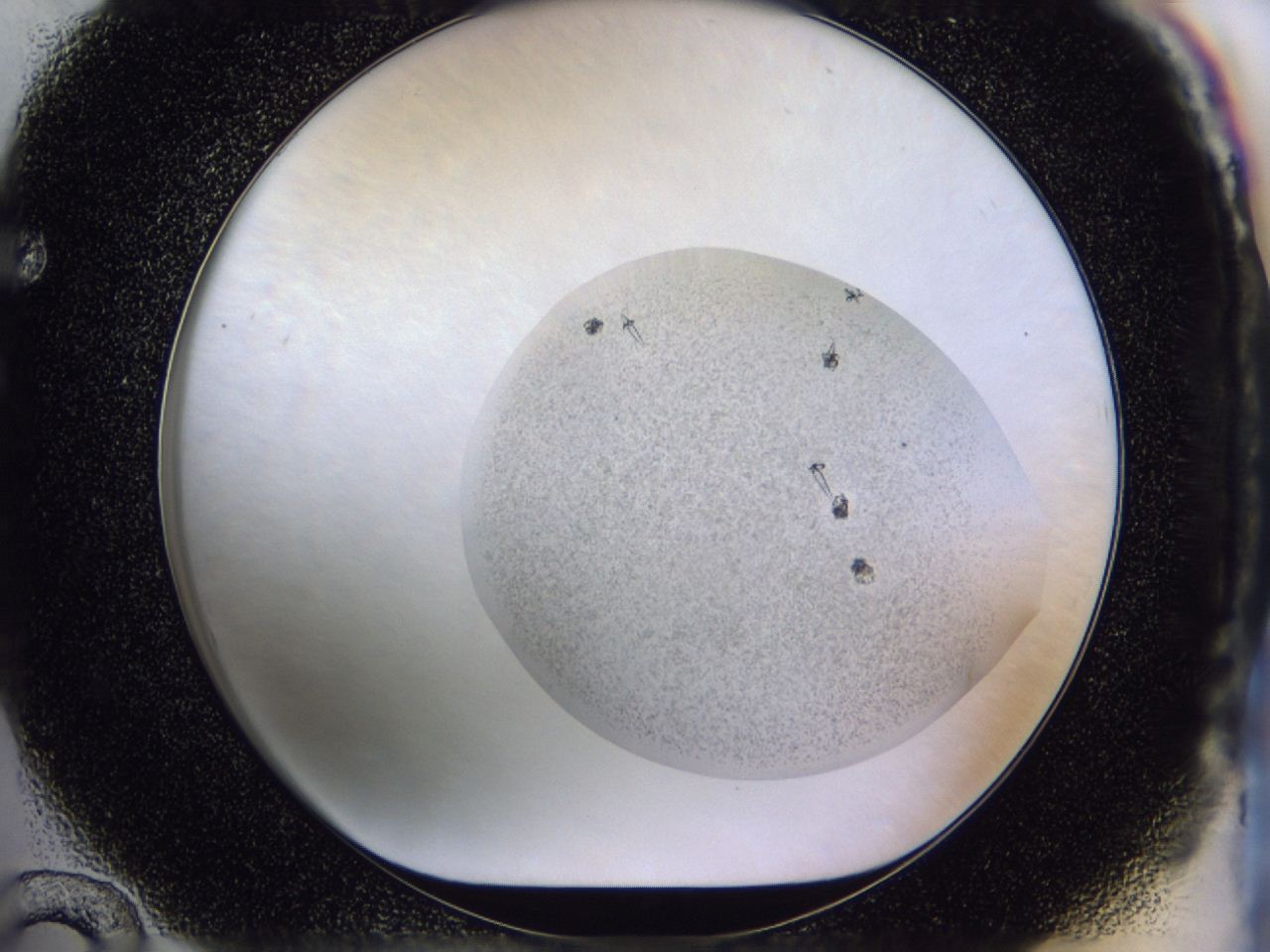049x_F12_ImagerDefaults_7.jpg