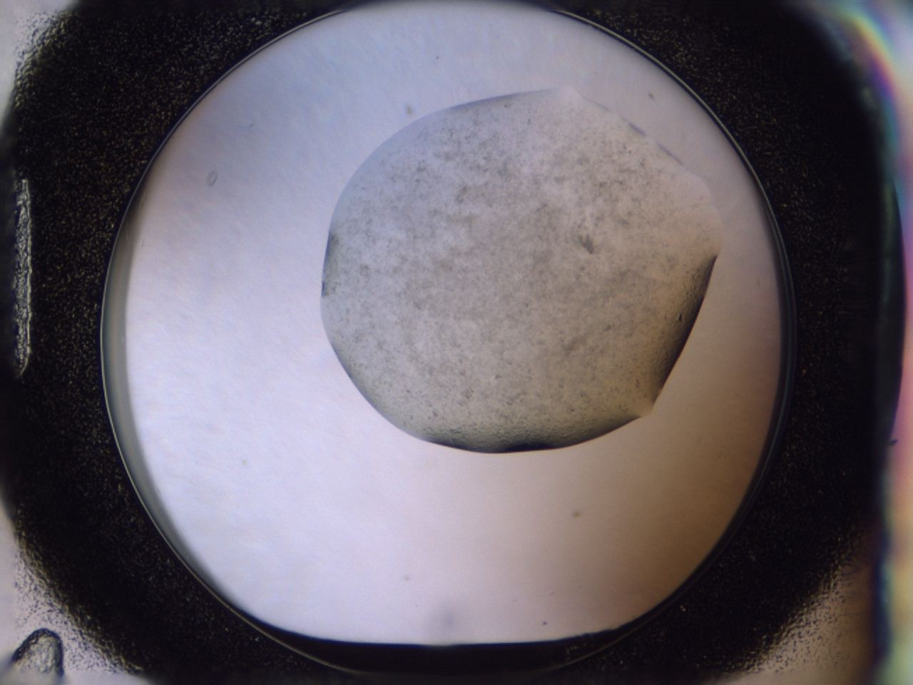 049x_H11_ImagerDefaults_7.jpg