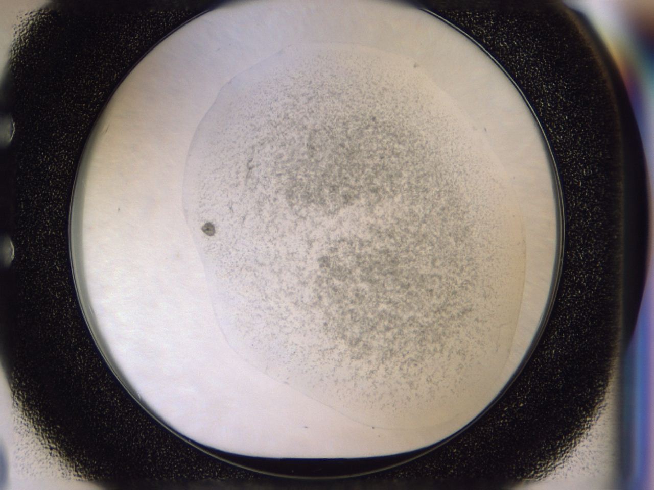 049x_E3_ImagerDefaults_7.jpg