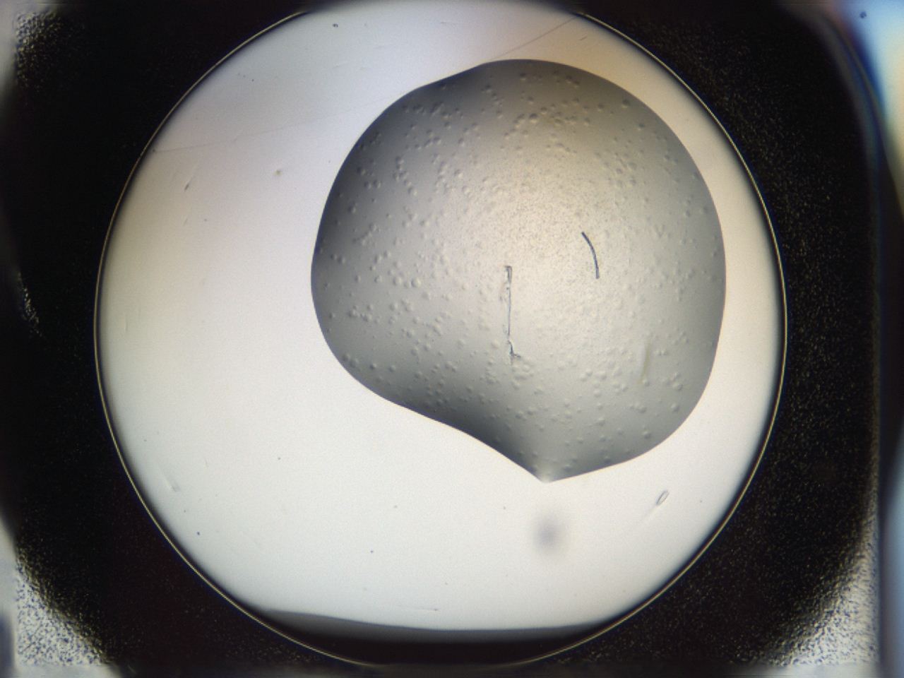 049y_A4_ImagerDefaults_9.jpg