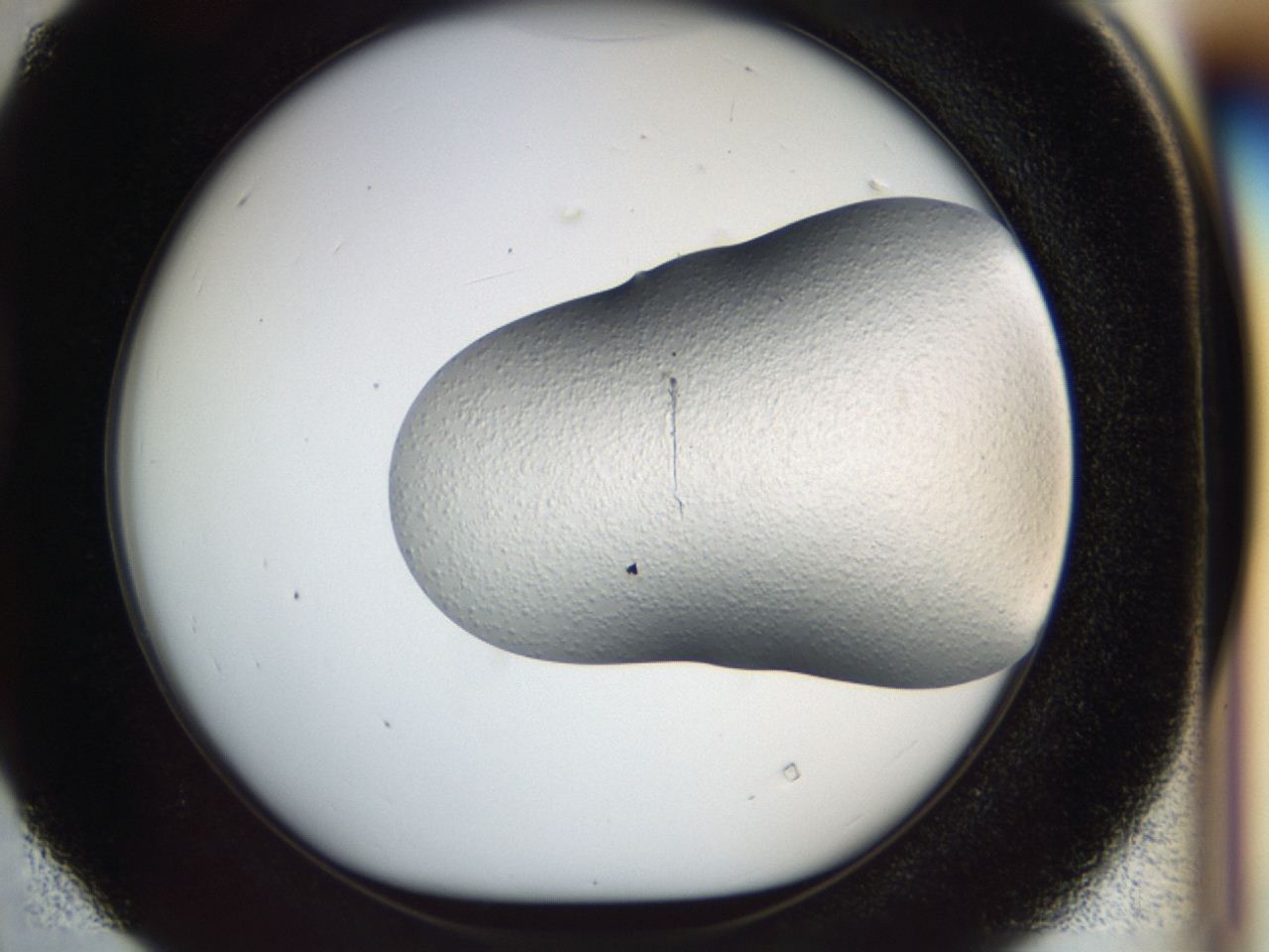 049y_D4_ImagerDefaults_0.jpg