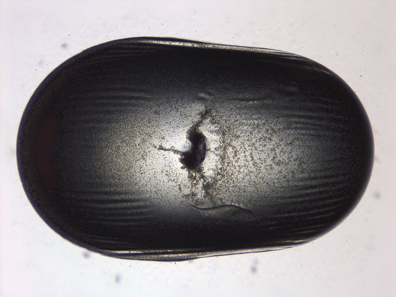 04ab_A1_ImagerDefaults_3.jpg