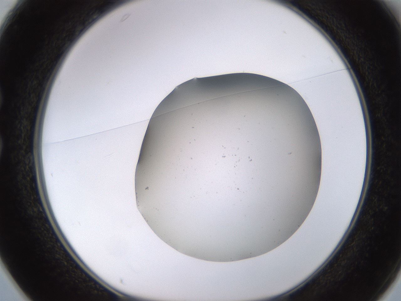 folderID575_plateID1575_batchID6456_wellNum25_profileID1_d1_r103167_ef.jpg