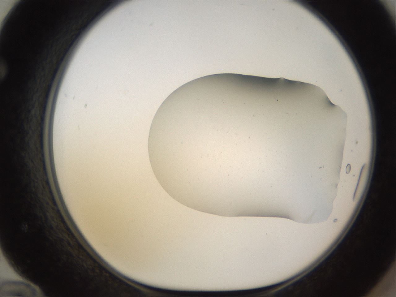 folderID576_plateID1576_batchID6294_wellNum72_profileID1_d1_r103382_ef.jpg