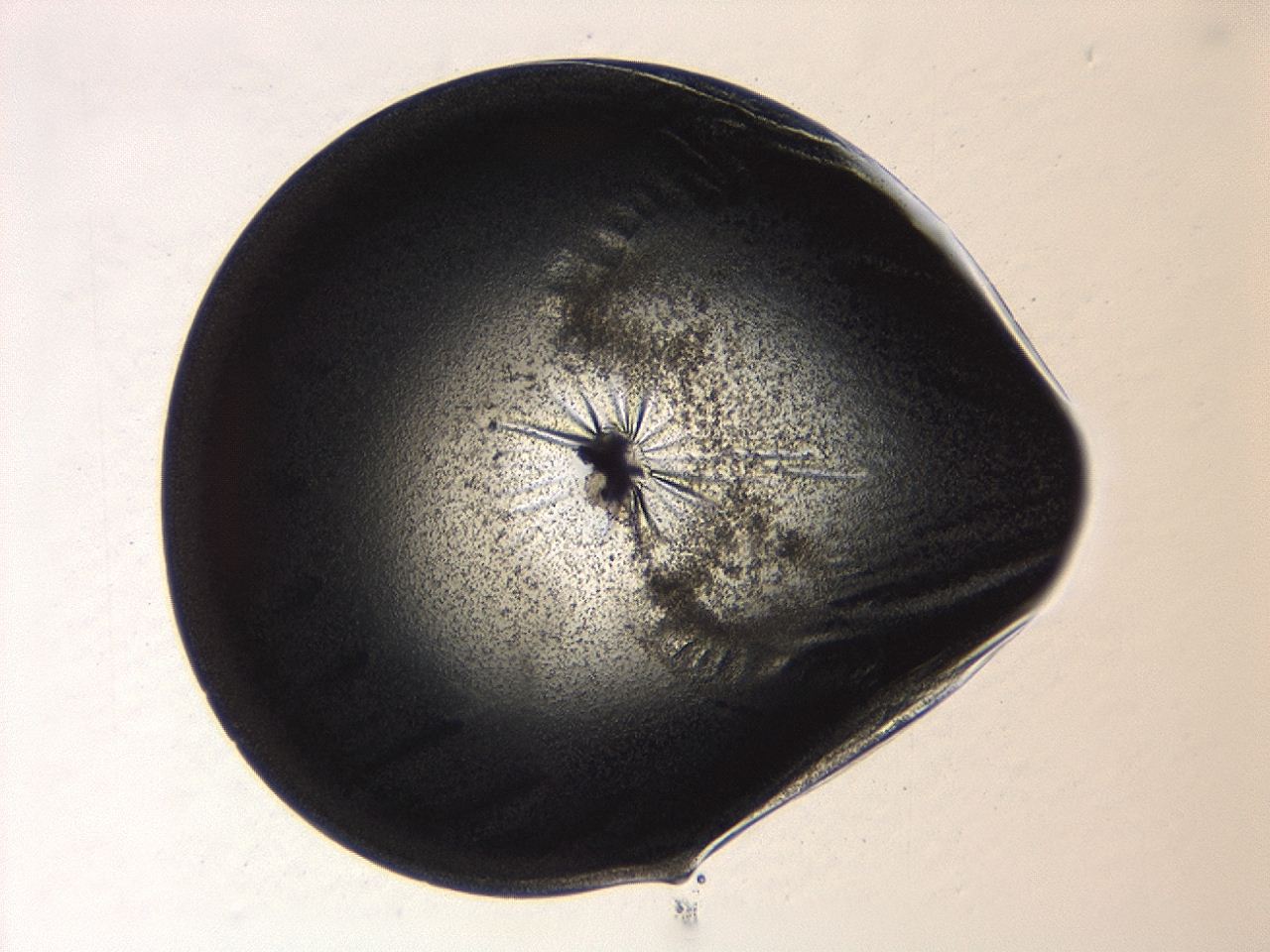 04ab_A2_ImagerDefaults_3.jpg