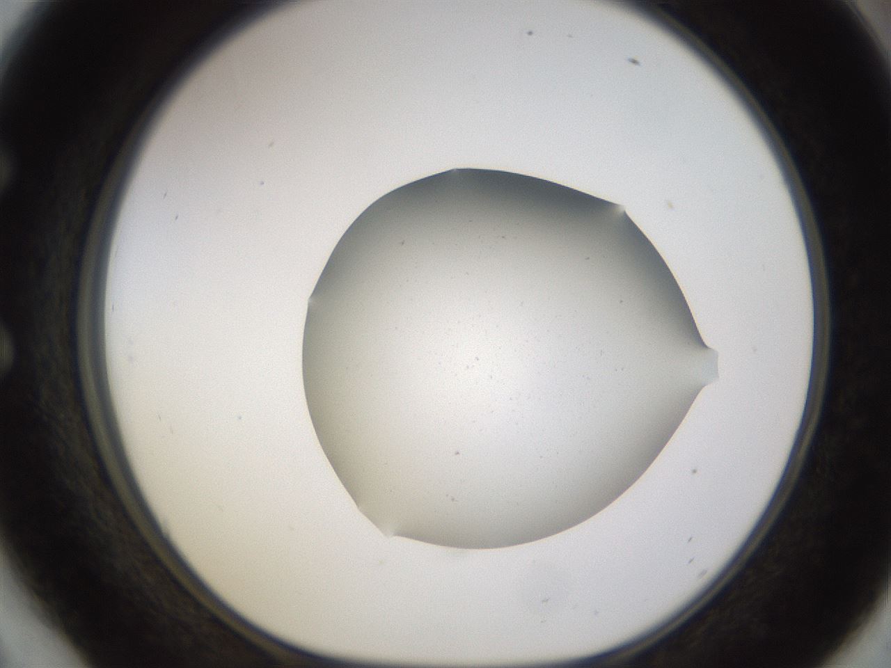 folderID576_plateID1576_batchID6332_wellNum54_profileID1_d1_r103364_ef.jpg