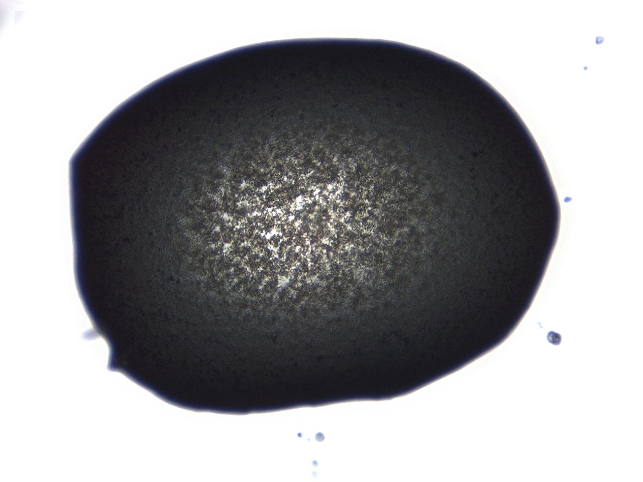 04ag_C1_ImagerDefaults_3.jpg