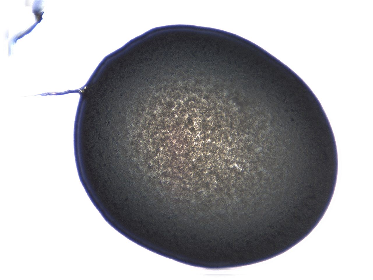 04ag_C3_ImagerDefaults_3.jpg