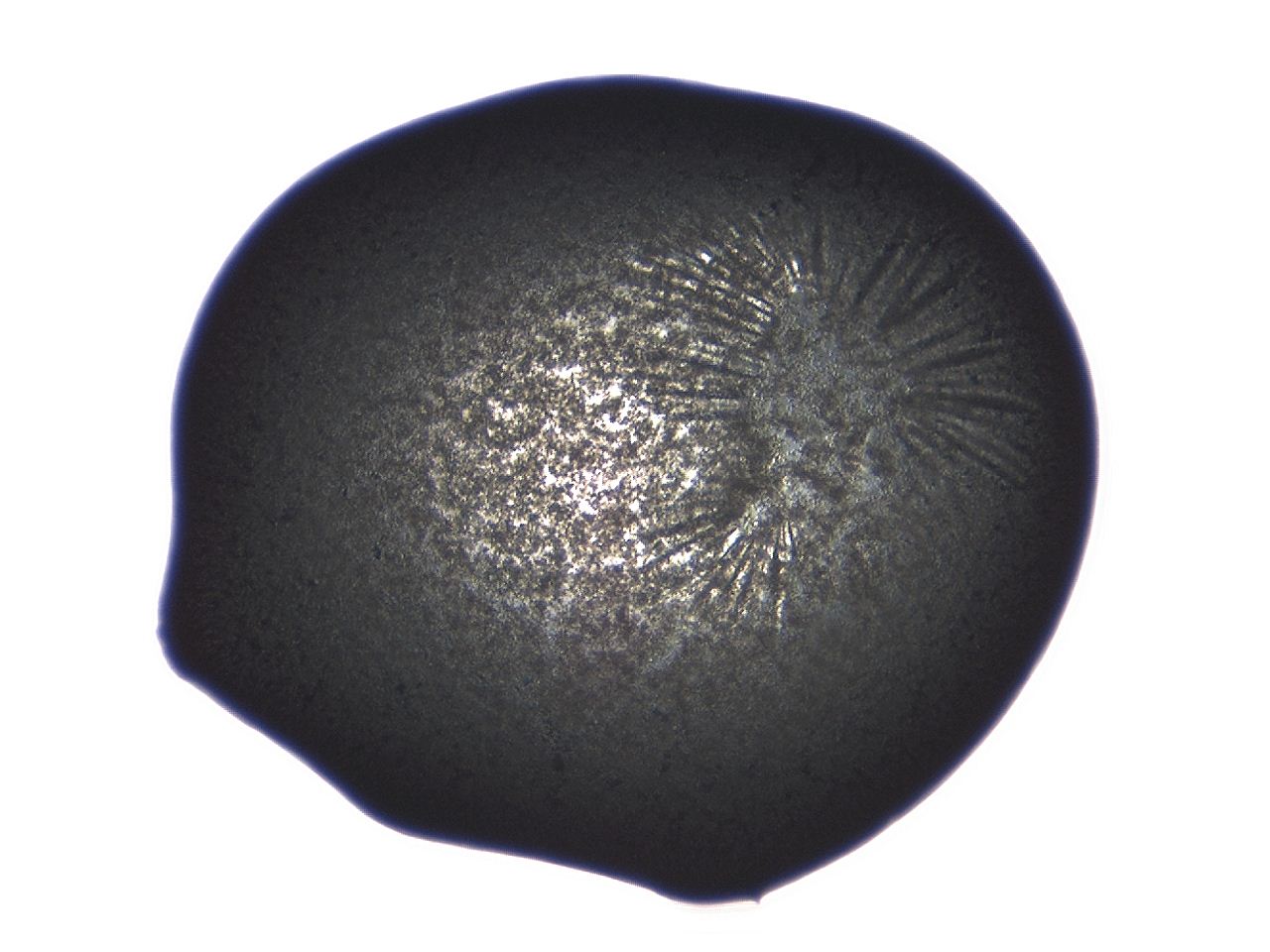 04ag_C6_ImagerDefaults_3.jpg