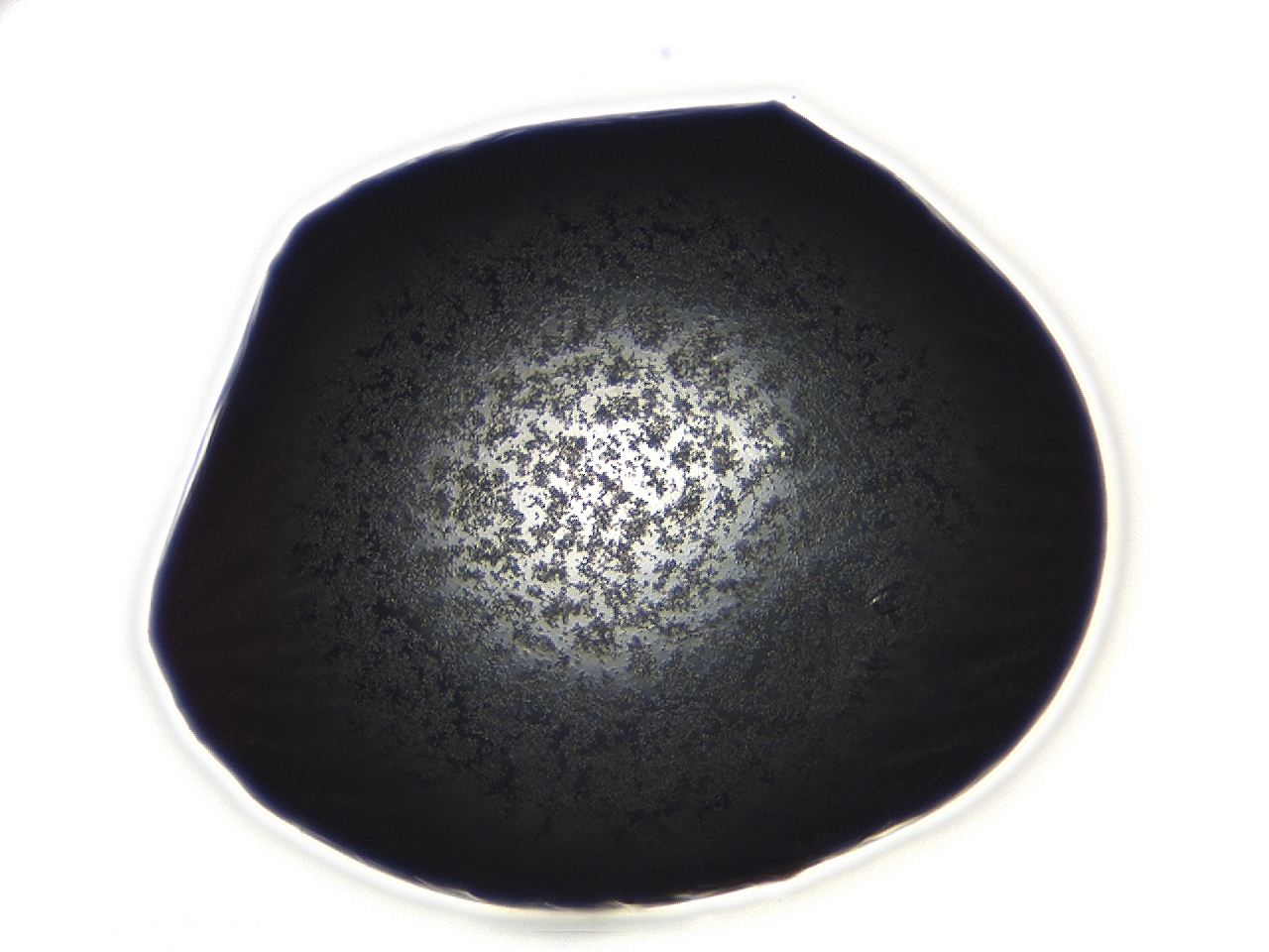 04ag_C7_ImagerDefaults_3.jpg
