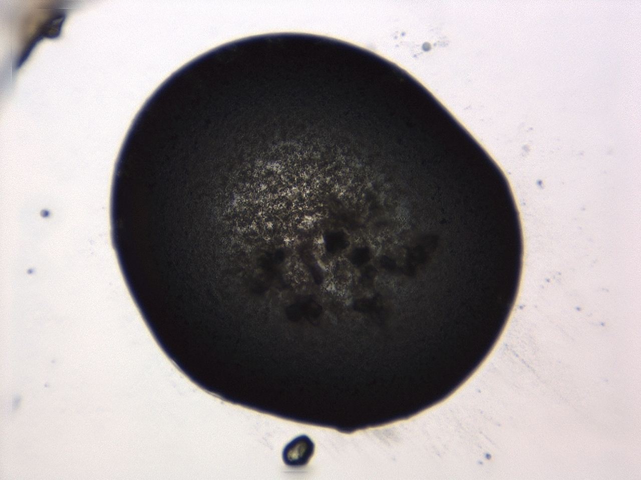 04ag_C2_ImagerDefaults_3.jpg