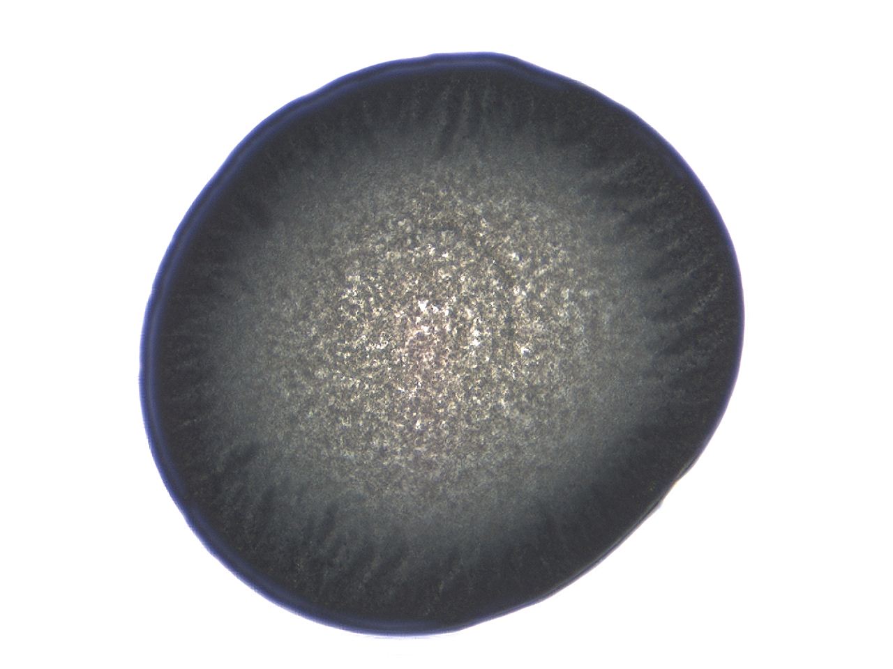 04ag_C8_ImagerDefaults_3.jpg