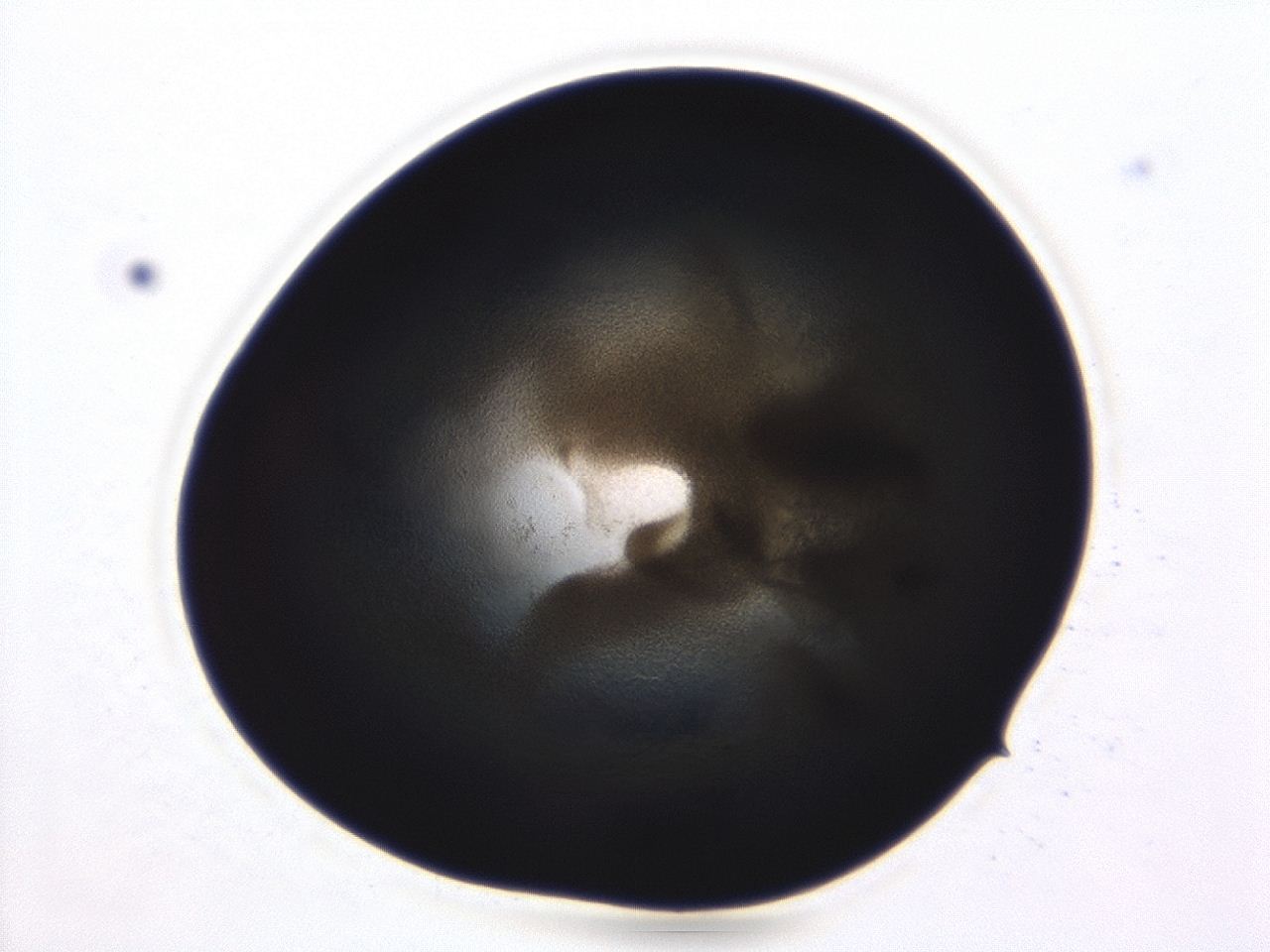 04ag_C10_ImagerDefaults_3.jpg