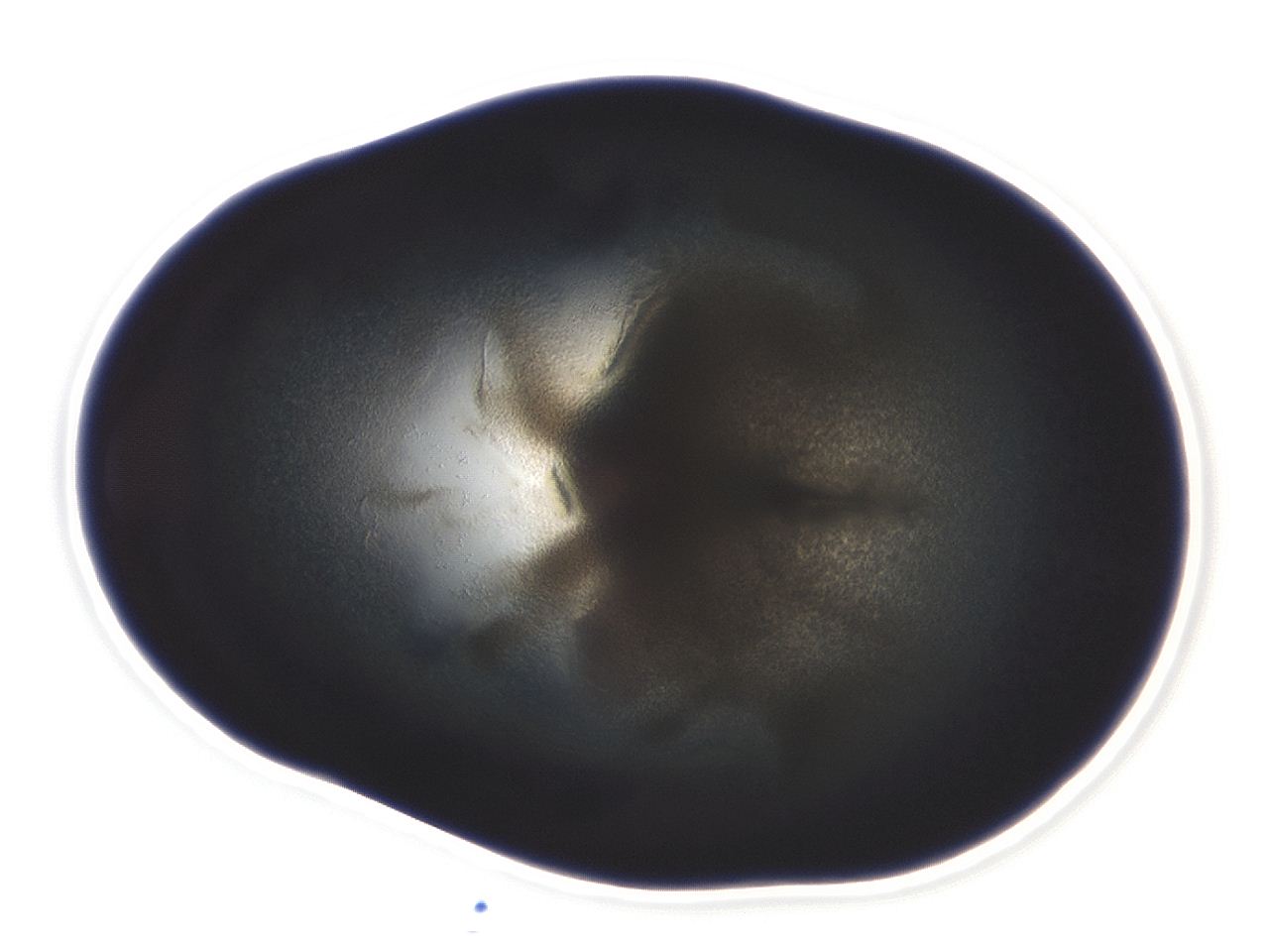 04ag_C11_ImagerDefaults_3.jpg