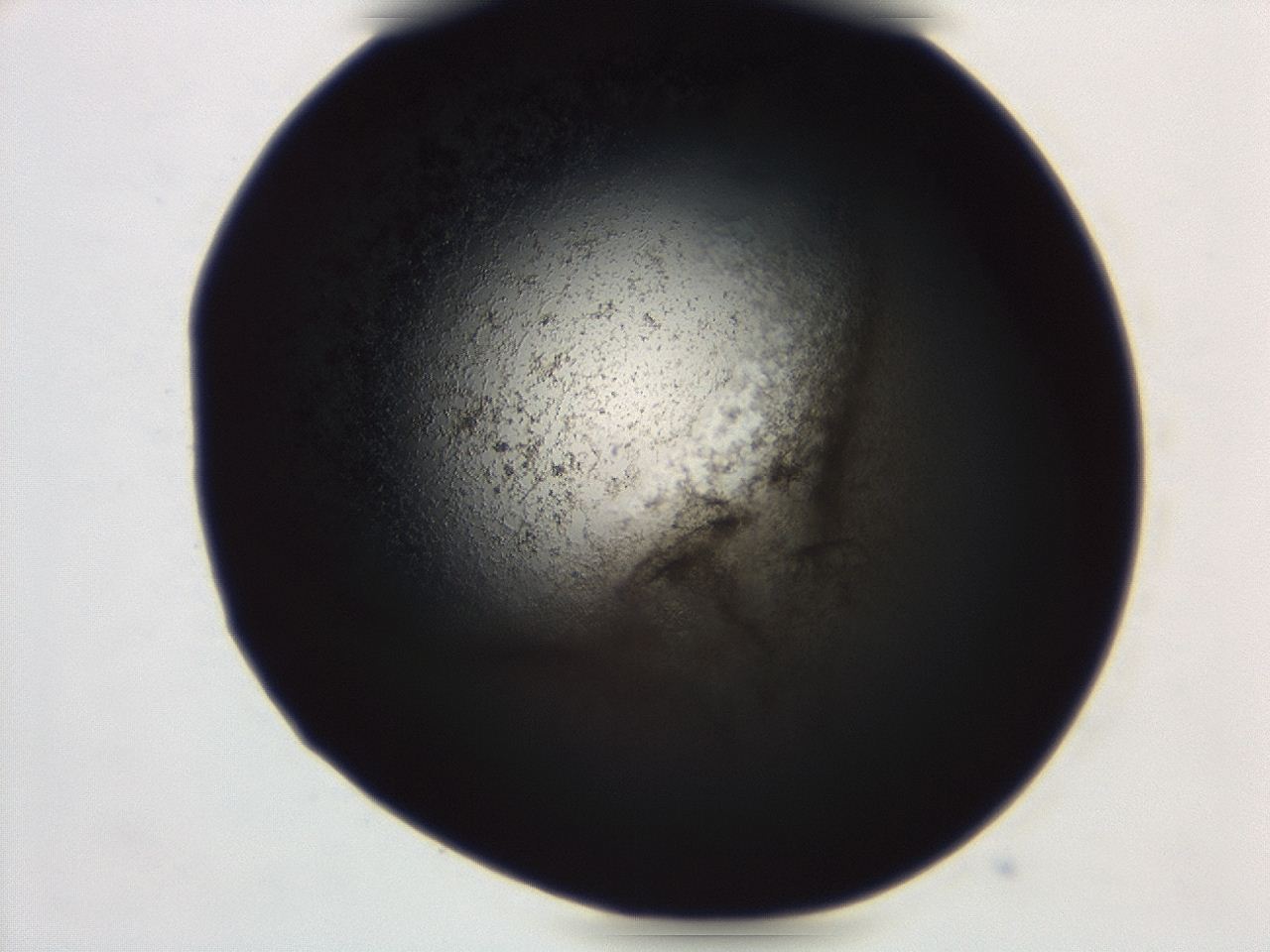 04ag_C12_ImagerDefaults_3.jpg