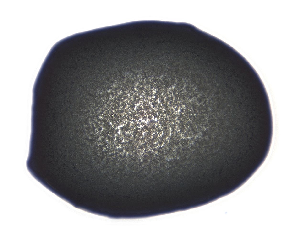 04ag_D1_ImagerDefaults_3.jpg