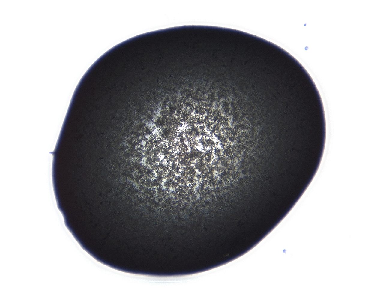 04ag_D2_ImagerDefaults_3.jpg
