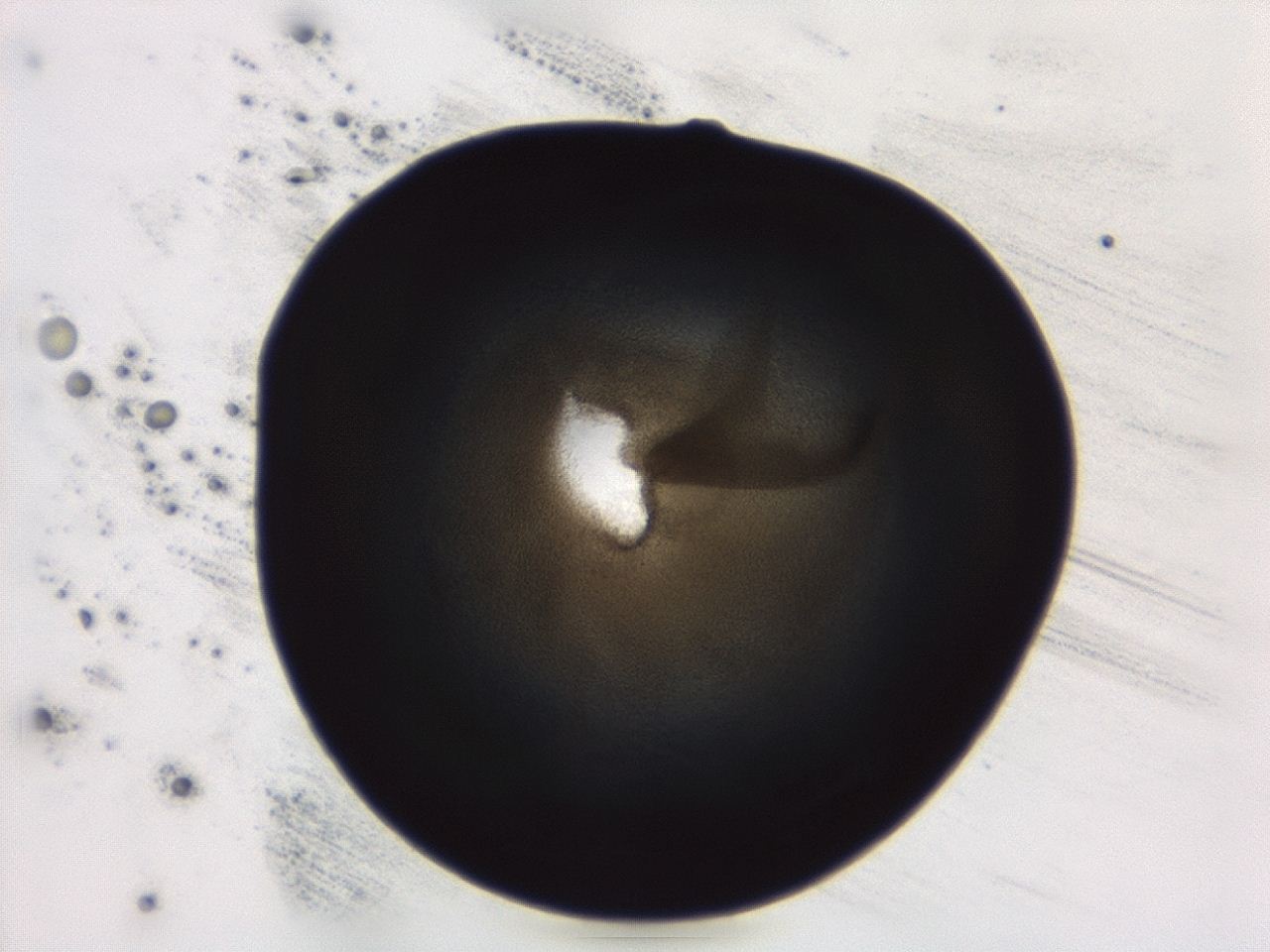04ag_D3_ImagerDefaults_3.jpg