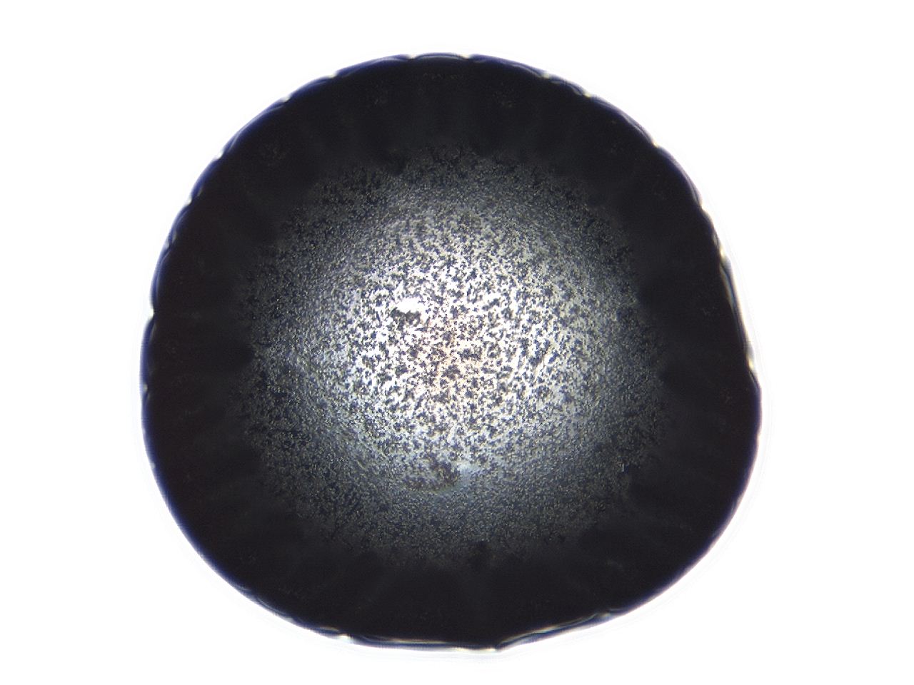04ag_D6_ImagerDefaults_3.jpg