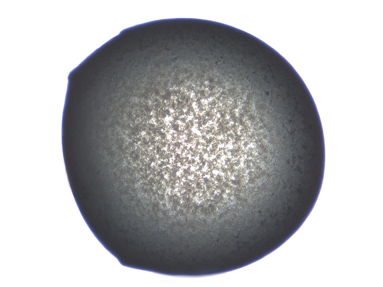 04ag_D7_ImagerDefaults_3.jpg