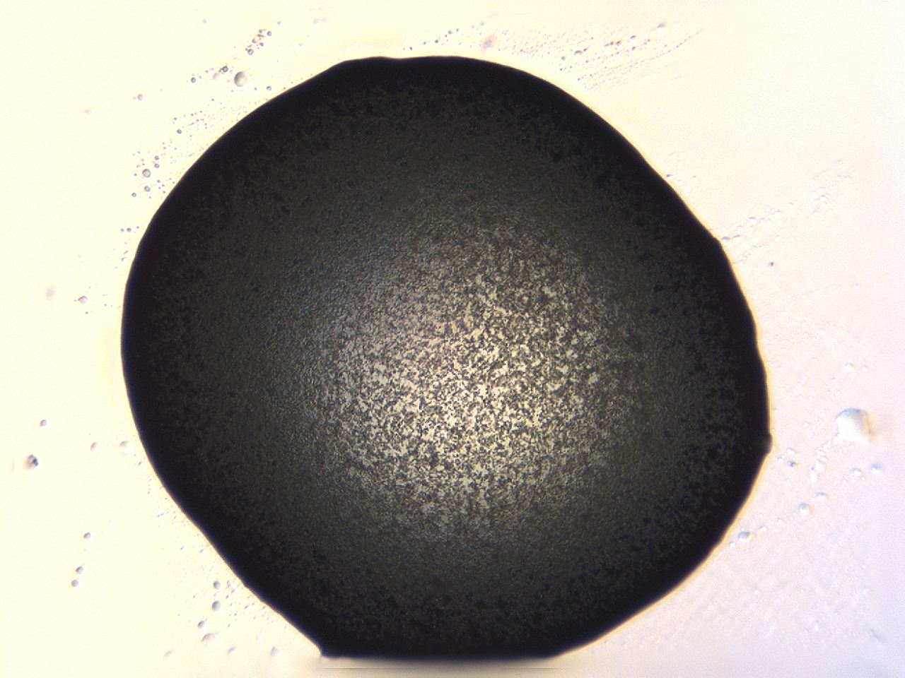 04ag_A2_ImagerDefaults_3.jpg