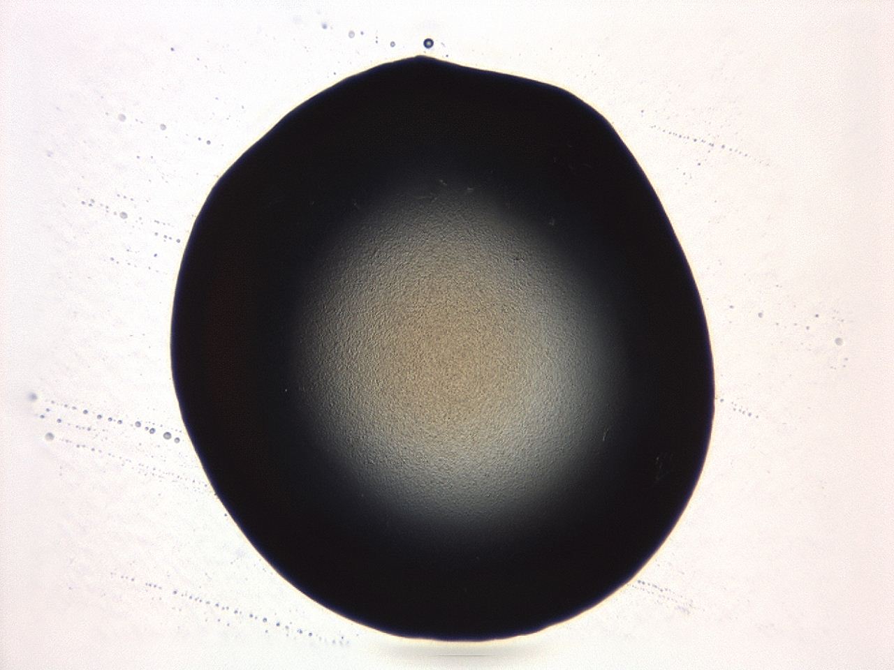 04ag_A3_ImagerDefaults_0.jpg