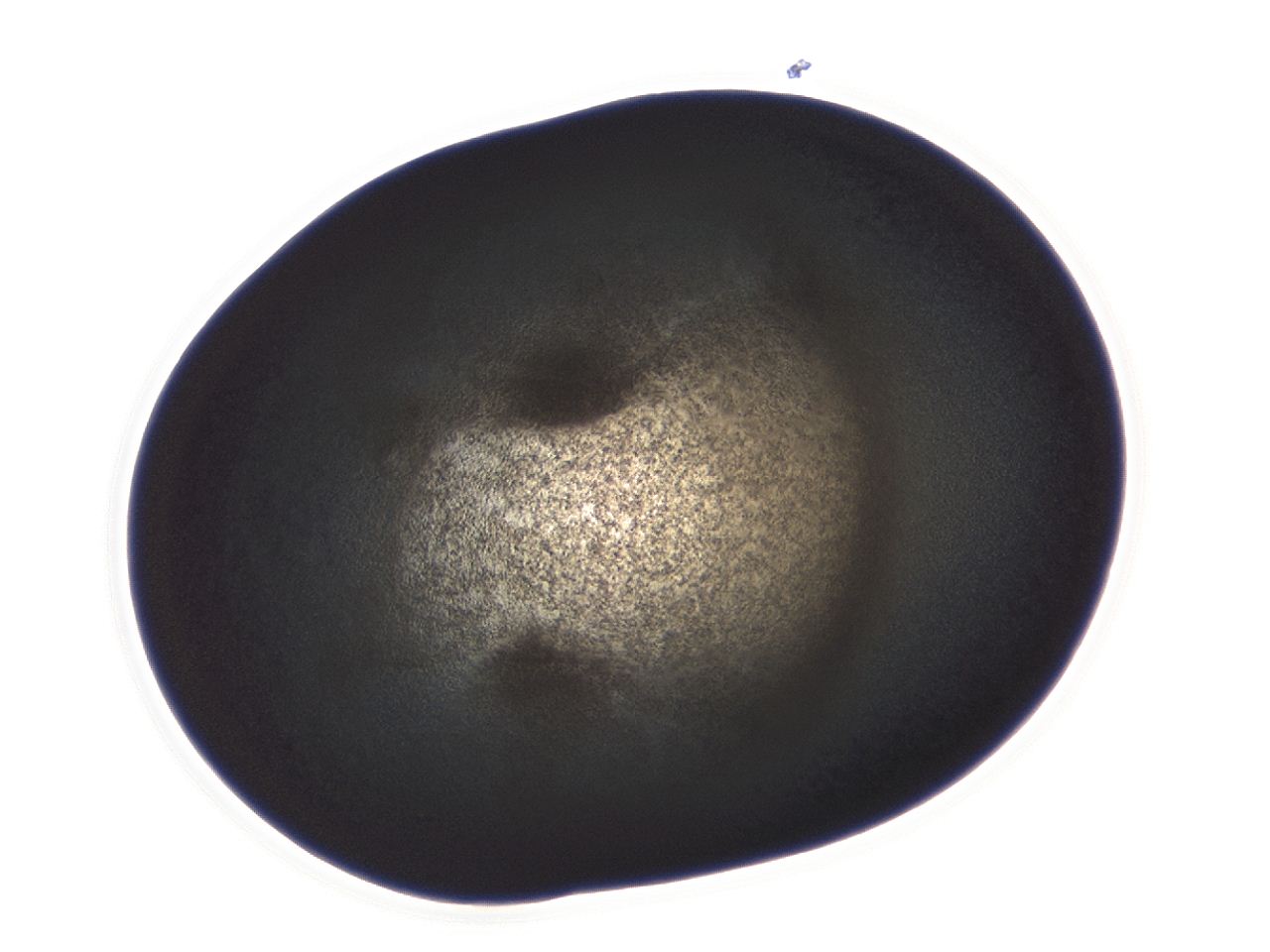 04ag_A7_ImagerDefaults_3.jpg