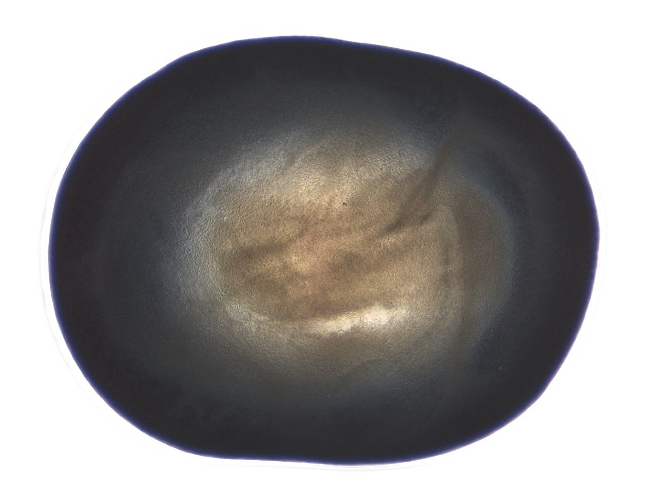 04ag_A12_ImagerDefaults_3.jpg