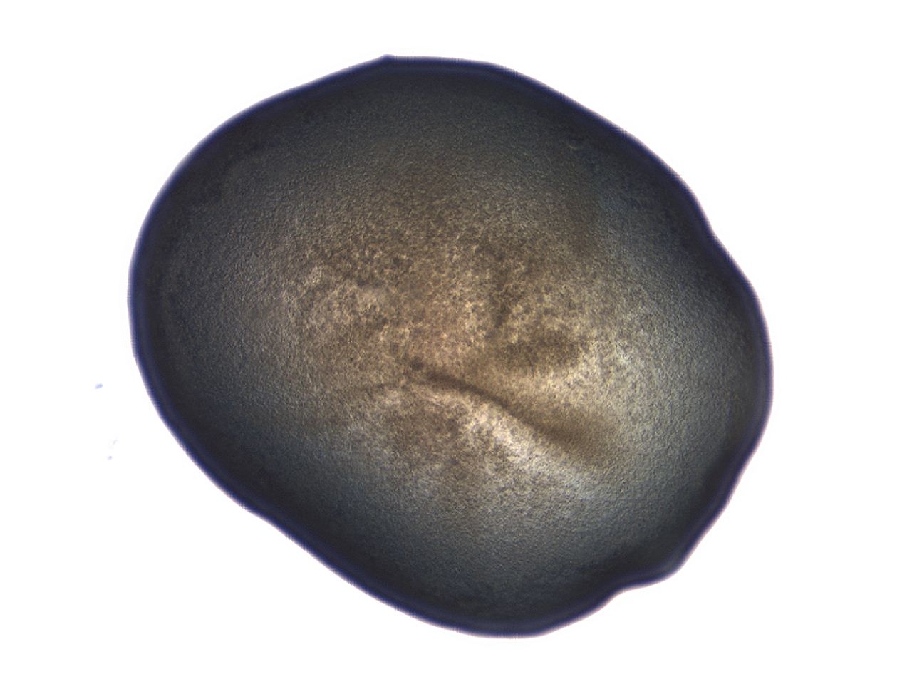 04ag_B1_ImagerDefaults_3.jpg